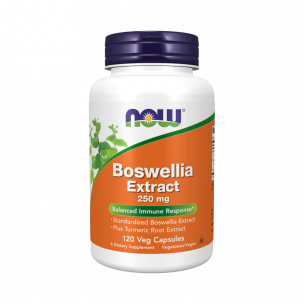 NOW Boswellia Extract 250 mg, 120 капсул